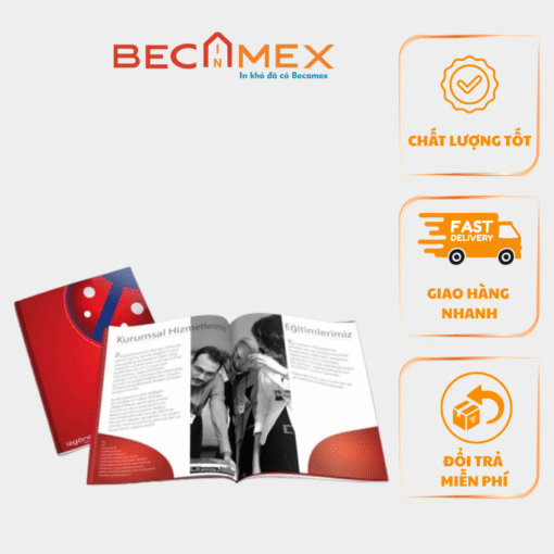 Catalogue Tiêu Chuẩn